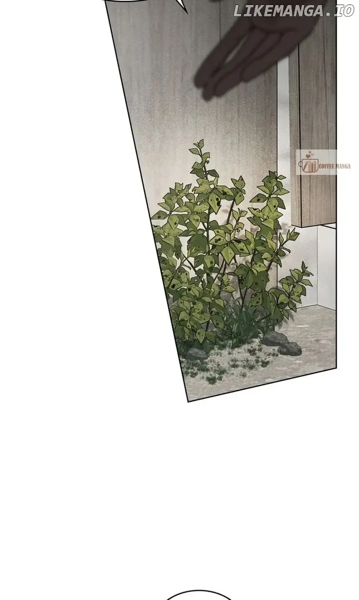 Under the Oak Tree    Chapter 116 image 40_optimized